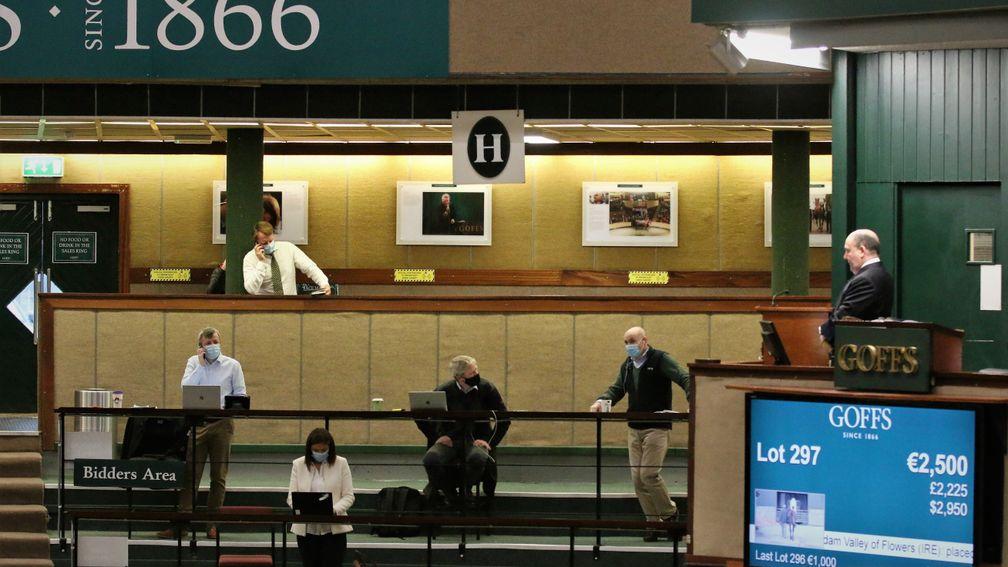 Goffs had a very different look this week with no actual bidders present