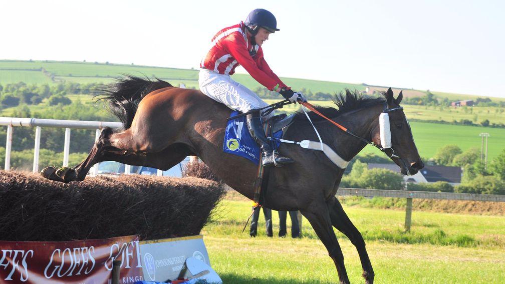 Anseanachai Cliste: a mystery withdrawal from the Cheltenham festival and reappears at Kelso