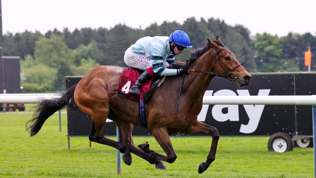 Quickthorn: will have to defy a 13lb rise for his wide-margin win at Haydock