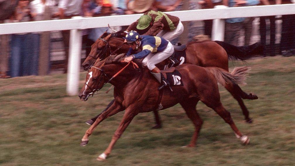 Grundy (near side) beats Bustino in the 1975 King George VI and Queen Elizabeth Stakes – widely regarded as the race of the century