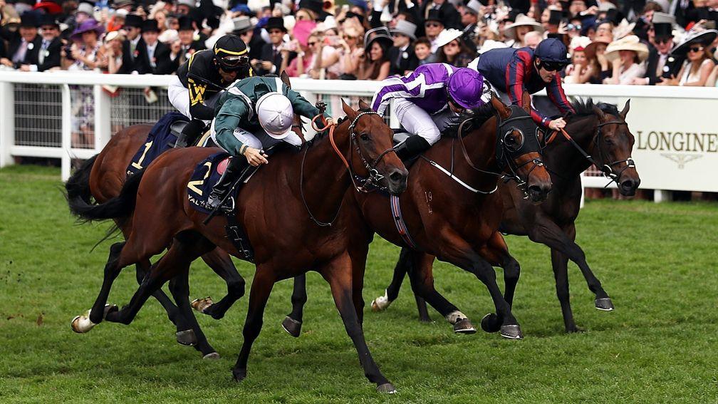 One stride too late: City Light and Christophe Soumillon (head down, near side) head the field just after the line at Ascot, with The Tin Man (navy blue silks, far side) closing fast.