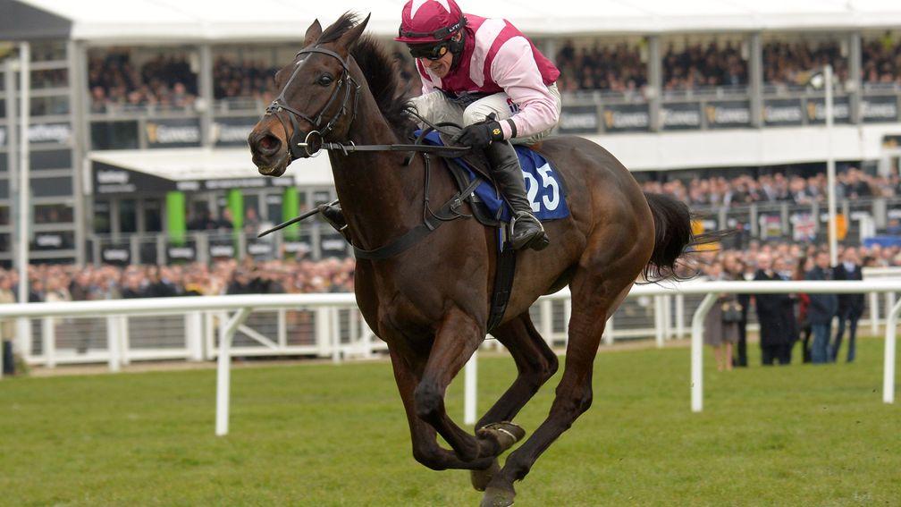 Superb Story: expected to go straight to Cheltenham