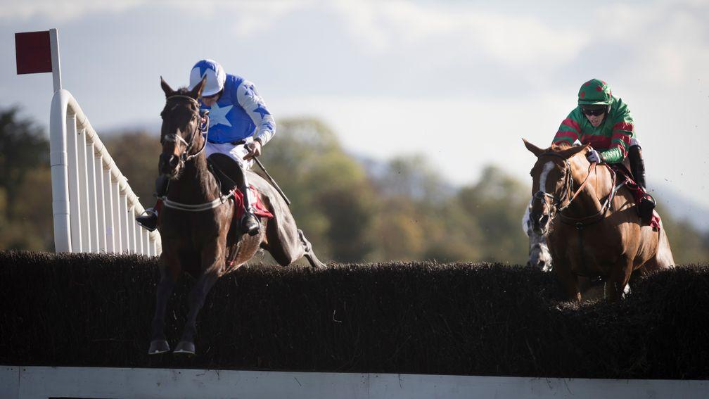 Cadmium (left): has plenty of experience and the extra distance shouldn’t be a problem, says trainer Willie Mullins