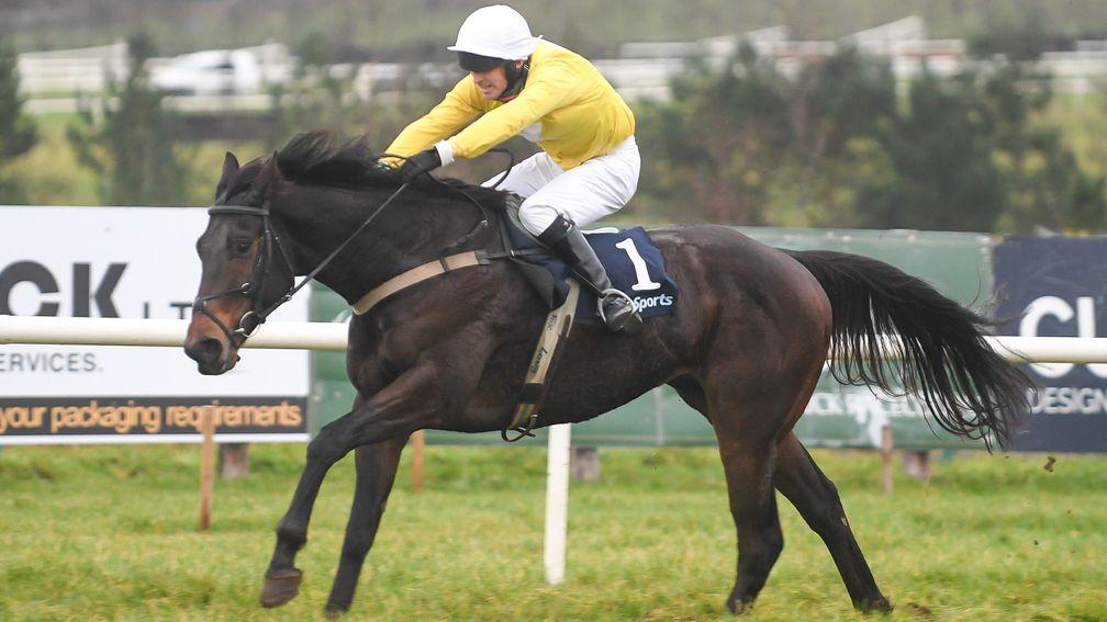 An Forghas: the 125-1 shot won the bumper at Limerick in remarkable fashion on Monday