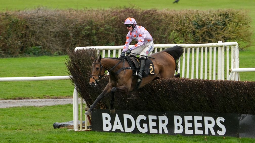 Juniper: bidding for a hat-trick