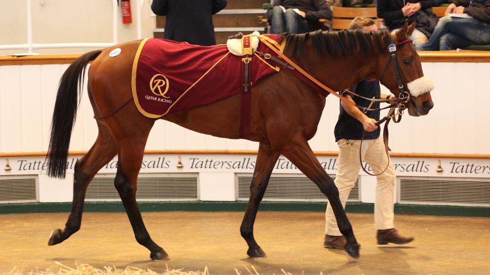 Fierce Impact was sold on for 120,000gns in 2017