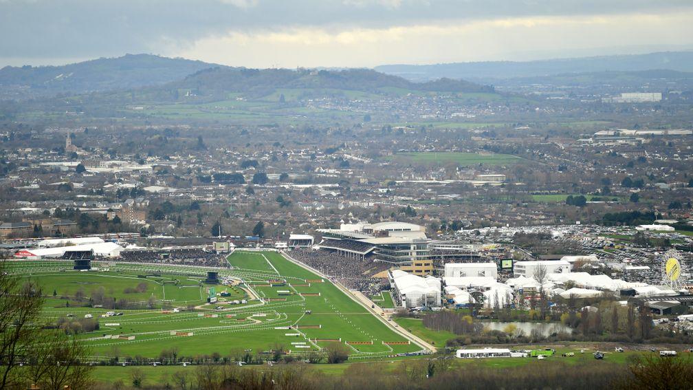 It has been an eventful start to this year's Cheltenham Festival