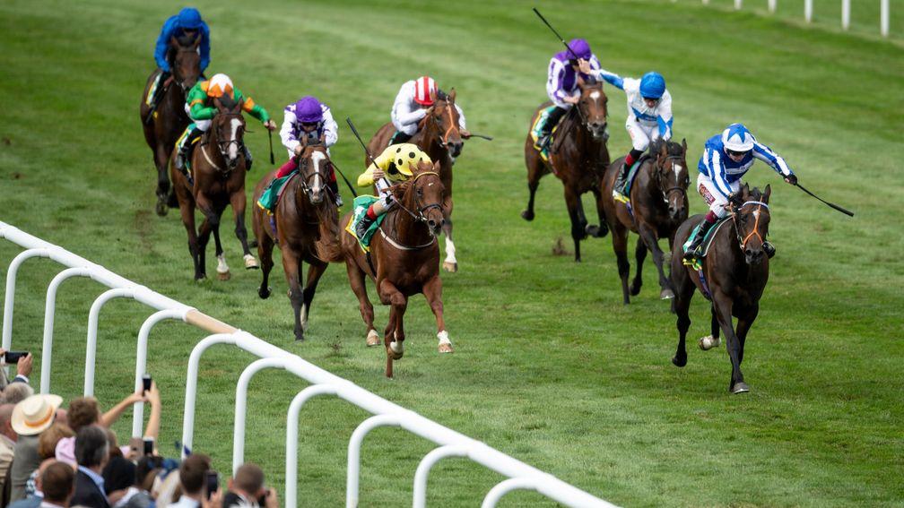 Mystery Power (furthest right) puts his rivals to the sword in the Superlative Stakes