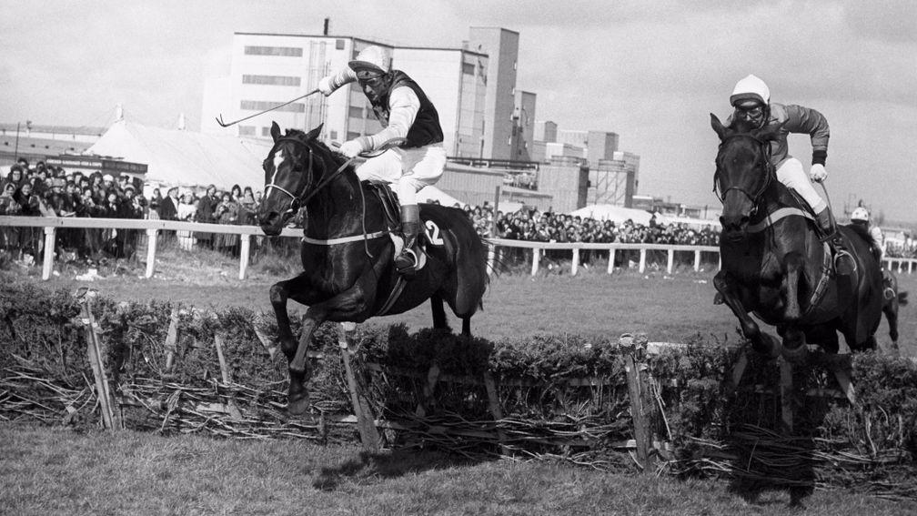 Night Nurse (right) and Monksfield clear the last in the Templegate Hurdle before dead-heating , with Night Nurse conceding 6lb