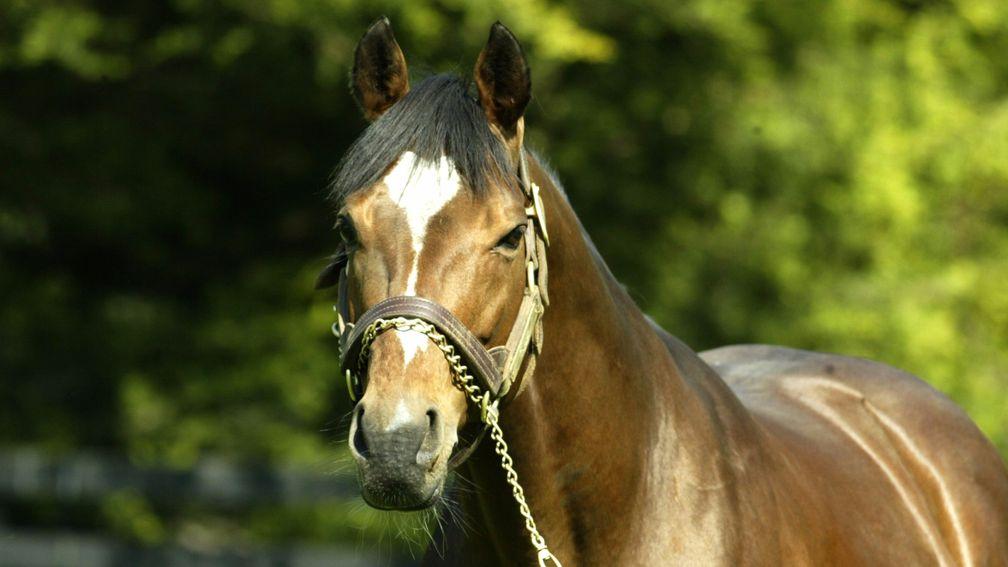 Galileo: has sired the winners of all four Classics so far this season