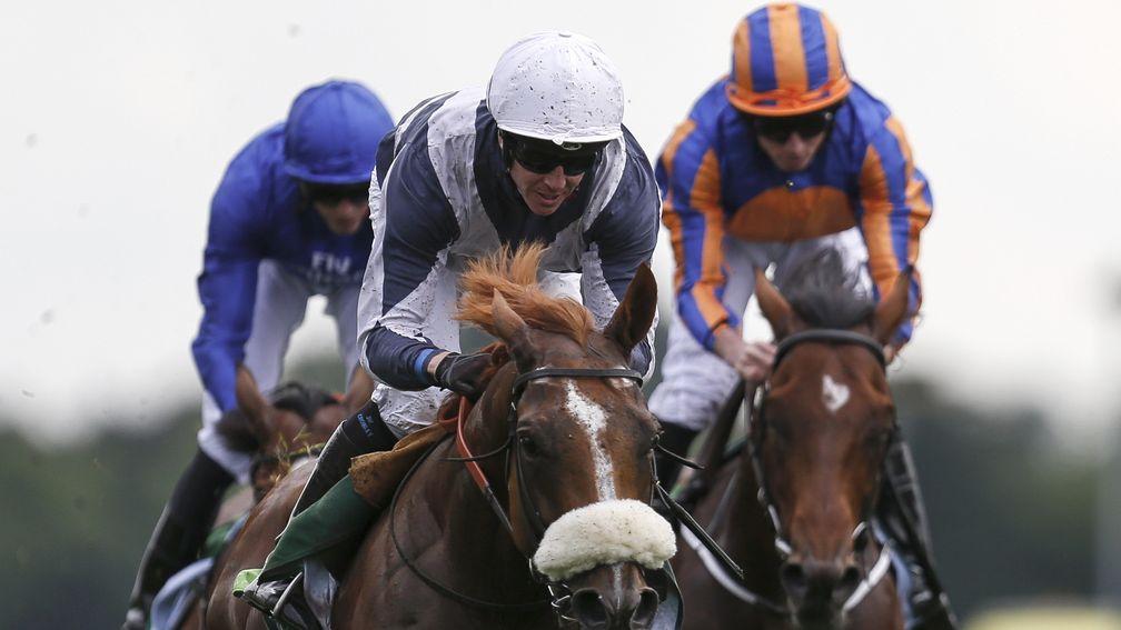 Churchill (orange and blue striped cap) chases home Ulysses at York