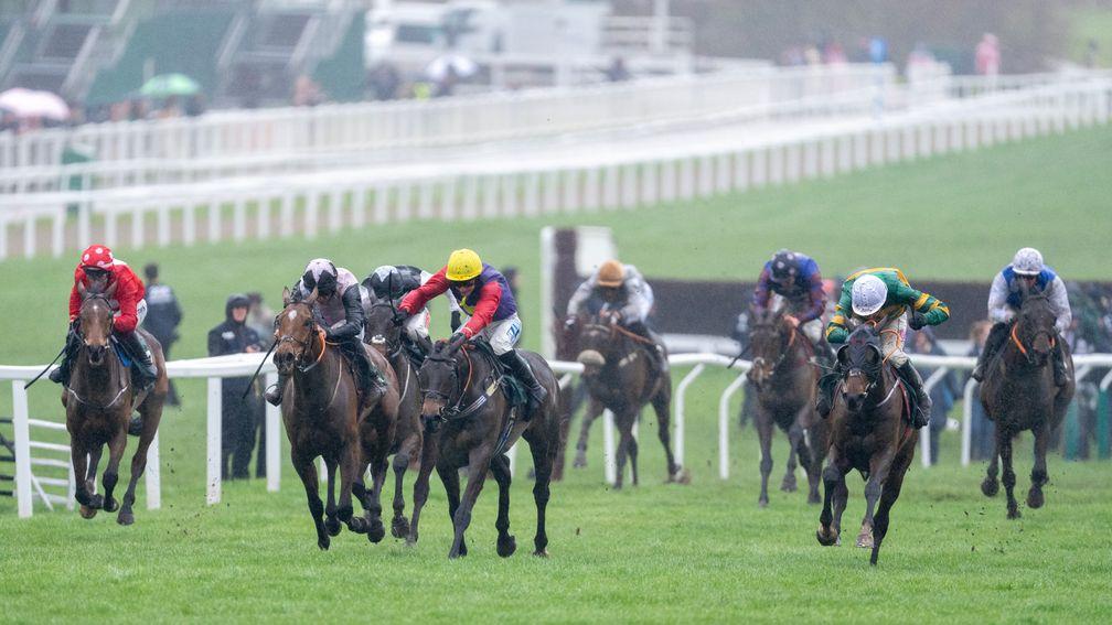 Gold Tweet (noseband, centre of picture) trails home well adrift of the principals in the Stayers' Hurdle