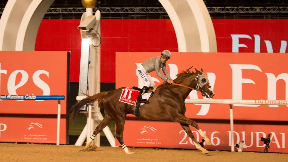 California Chrome: brilliant talent stands at Taylor Made