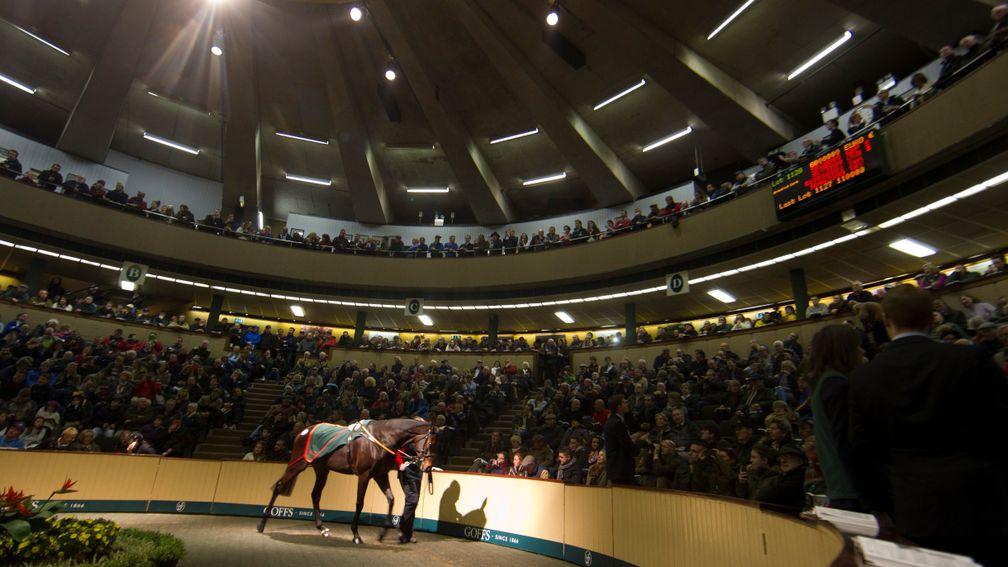 A packed Goffs auditorium looks on as Chicquita sells for €6 million