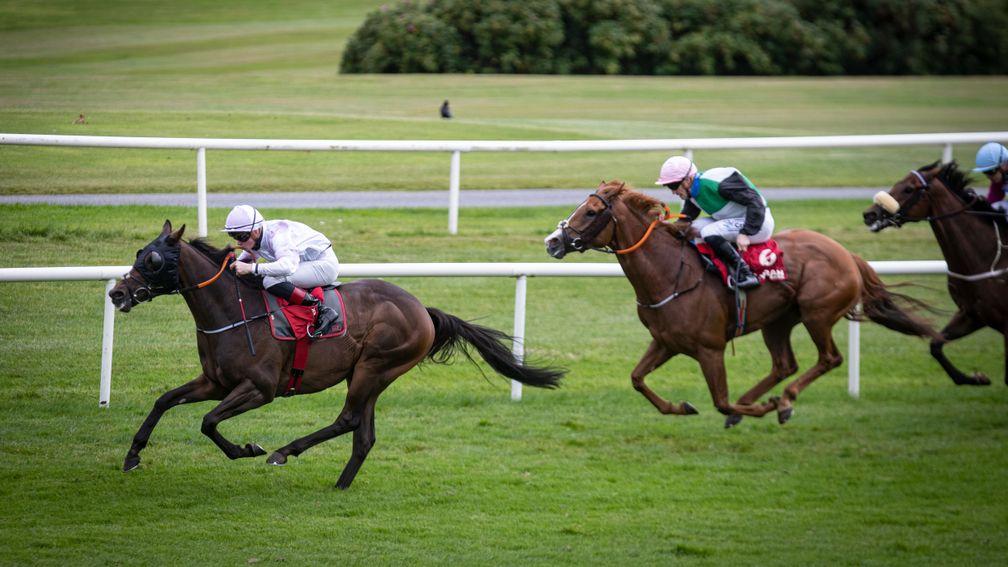 Oh Purple Reign: back to winning ways at Gowran this month