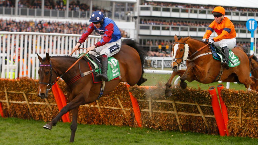 Paisley Park's win at Cheltenham was part of a golden run for punters