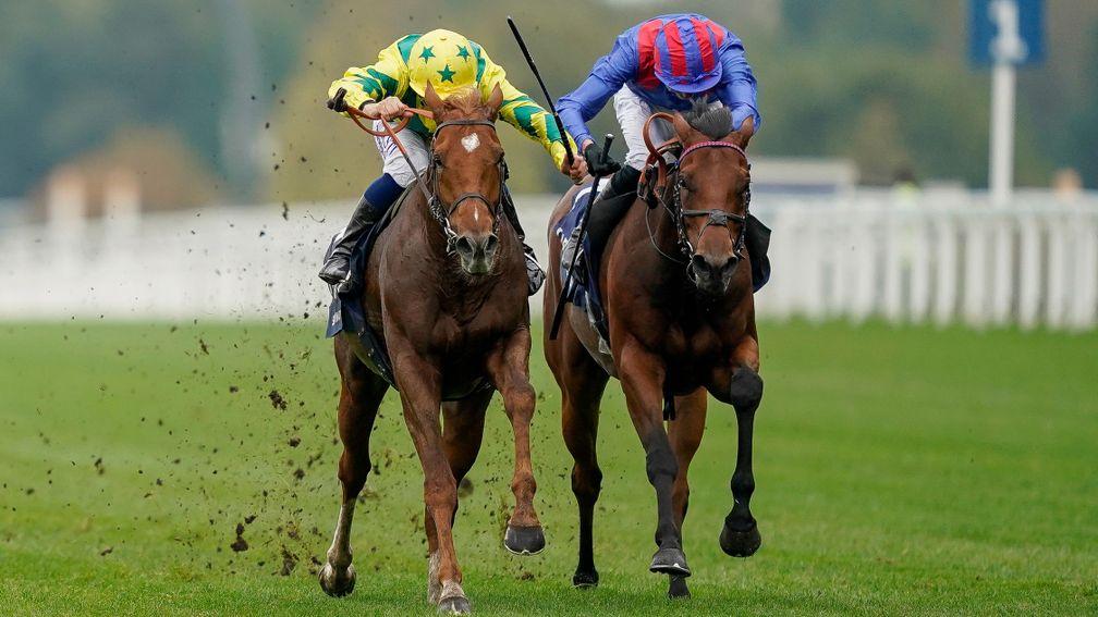 Sealiway (left) overcomes Dubai Honour in the Qipco Champion Stakes (Photo by Alan Crowhurst/Getty Images)
