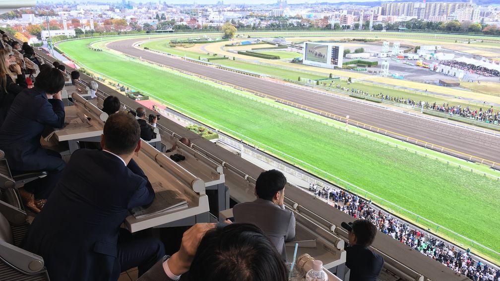 Binoculars are fixed on the action at Tokyo racecourse
