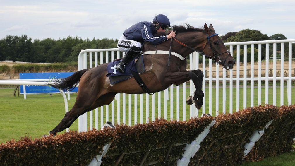 Presentandcounting: will line up for the Persian War Novices' Hurdle on Friday