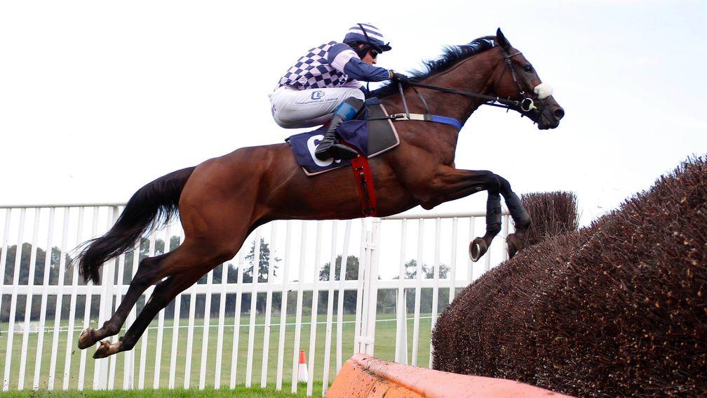 Tea Clipper makes the perfect start to life over fences under Stan Sheppard