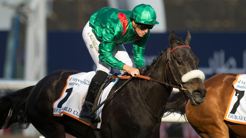 Vazirabad: heads the stayers' category following his victory in the Prix Royal-Oak on Sunday