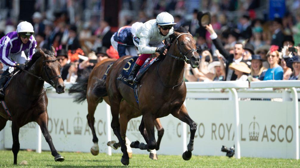 Palace Pier: will aim for back-to-back wins in the Prix Jacques le Marois on Sunday