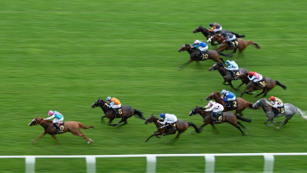 Shelir (light blue colours) finishes eighth behind Blue Mist in the International at Ascot last month