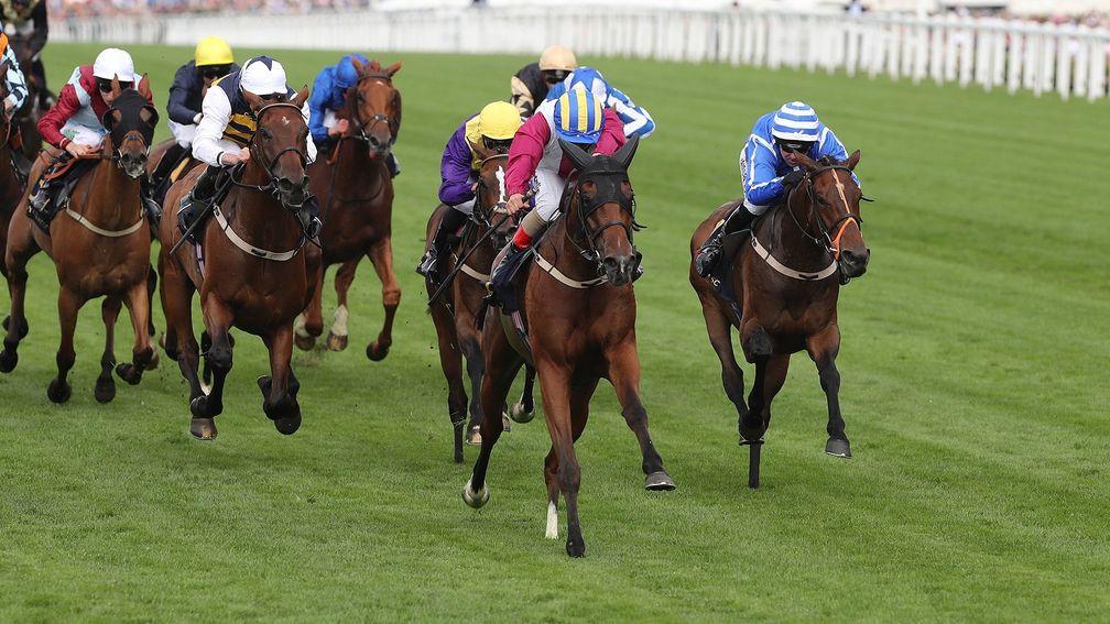 Stratum (right) finishes third to stablemate Lagostovegas at Royal Ascot