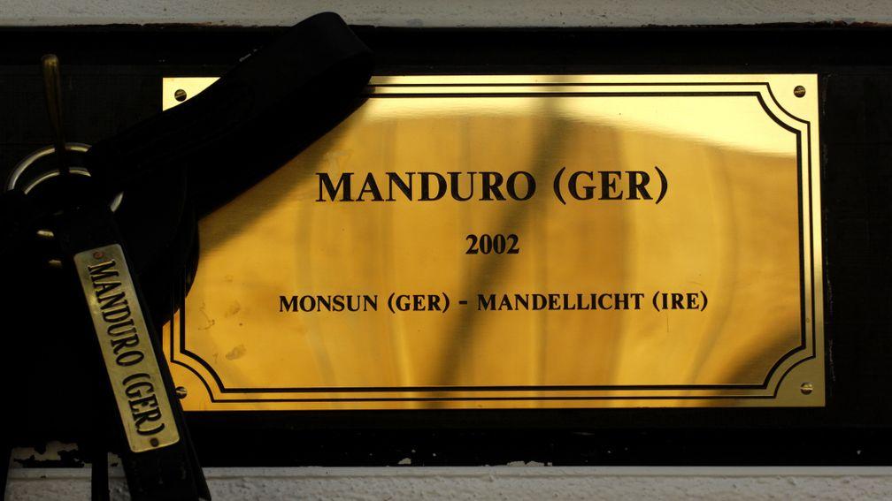 Manduro is the source of 35 stakes winners at stud