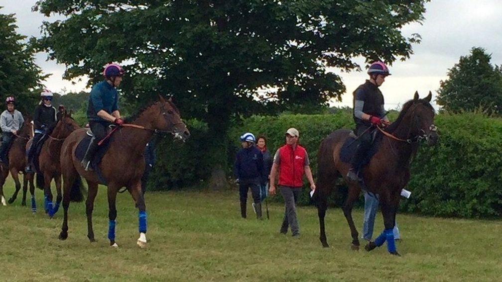 Autocratic (left) and Poet's Word head for the Cambridge Road Polytrack