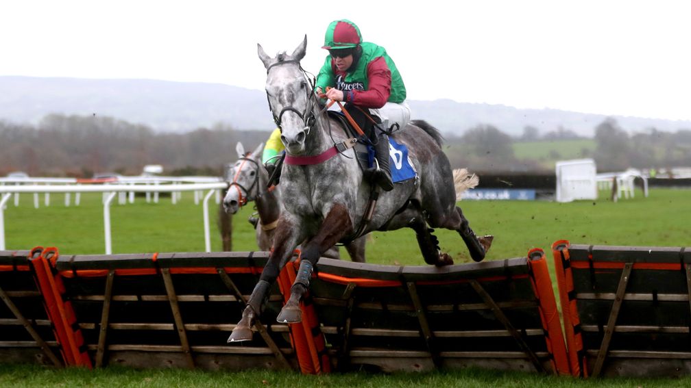 Frenchy Du Large: represents the in-form Venetia Williams stable