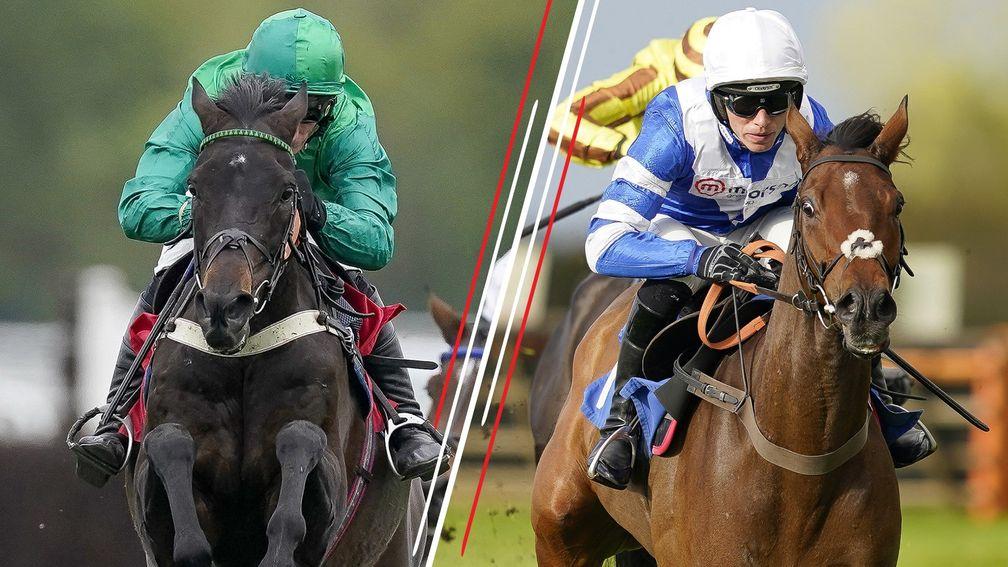 Can up-and-coming hurdler Knappers Hill (right) take Sceau Royal's crown at Wincanton?