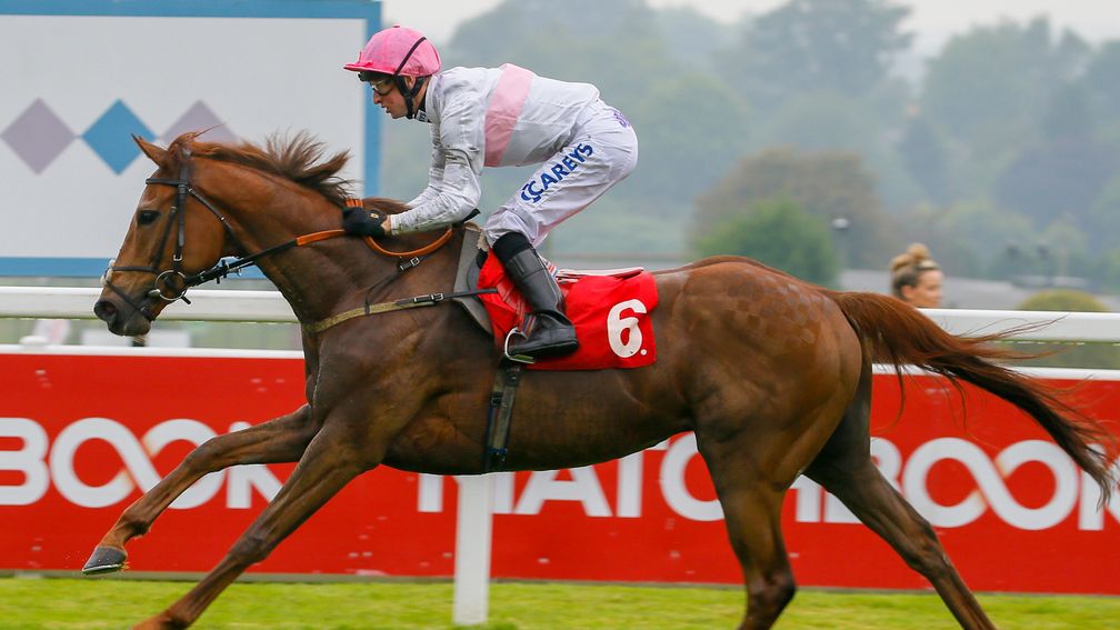 What A Welcome: prolific winner is in action at Ascot on Friday