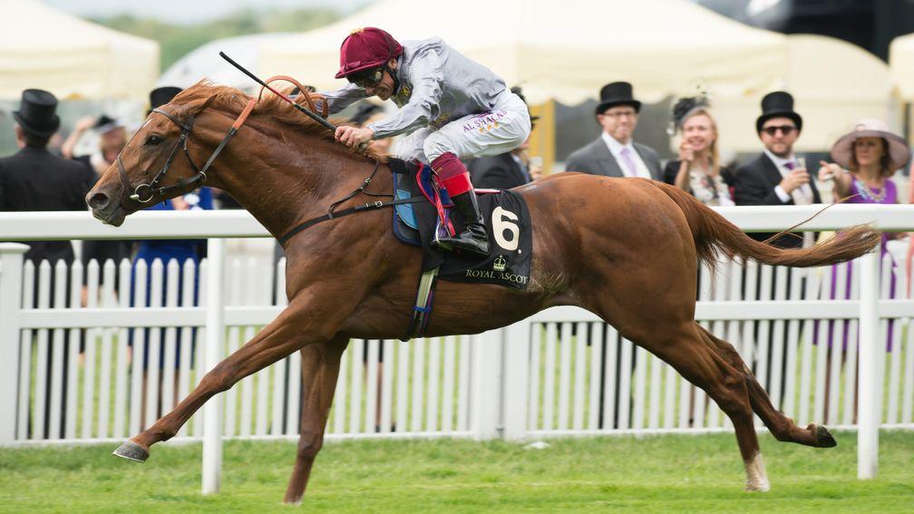 The Sussex Stakes is set to play host to dual Group 1 winner Galileo Gold