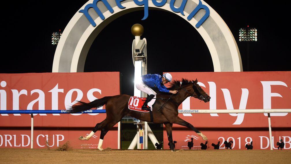 Thunder Snow: looking for back-to-back wins in the Dubai World Cup