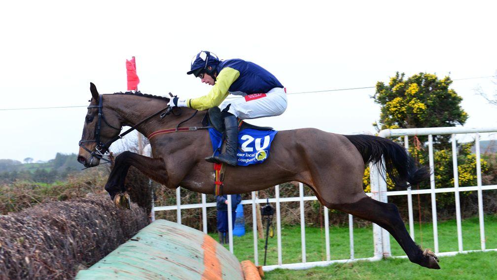Presentandcounting: clears the last in front in the five-year-old geldings maiden at Aghabullogue