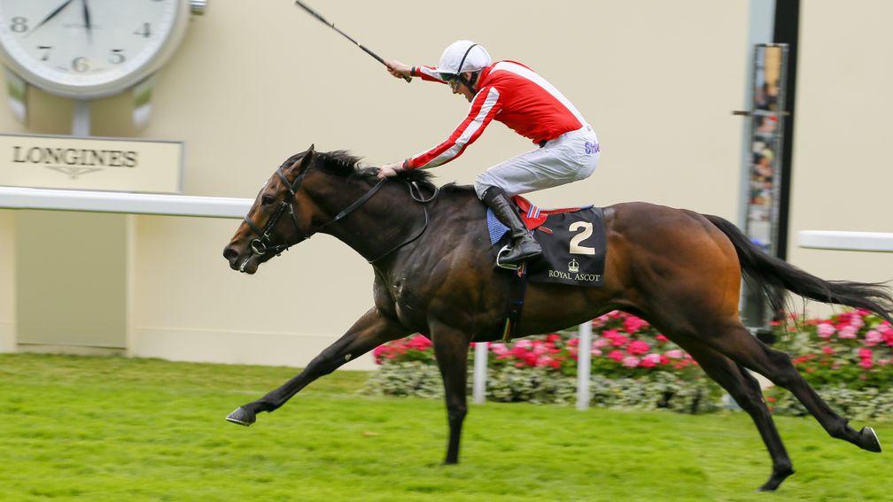 Over to you sis - Ardad wins at Royal Ascot in 2016