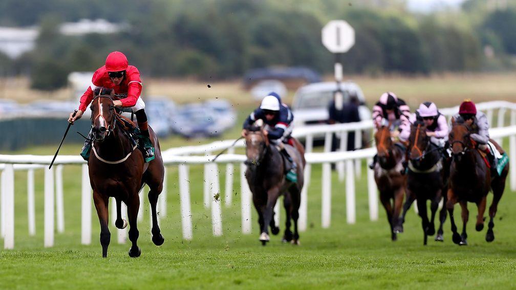Tiggy Wiggy: the Group 1 winner and 2,100,000gns broodmare purchase lands the 2014 Weatherbys Super Sprint