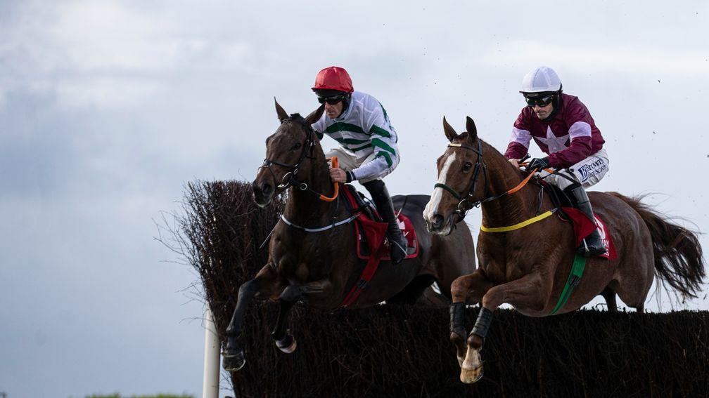 Sixshooter (right): impressive on his chasing debut at Galway last month