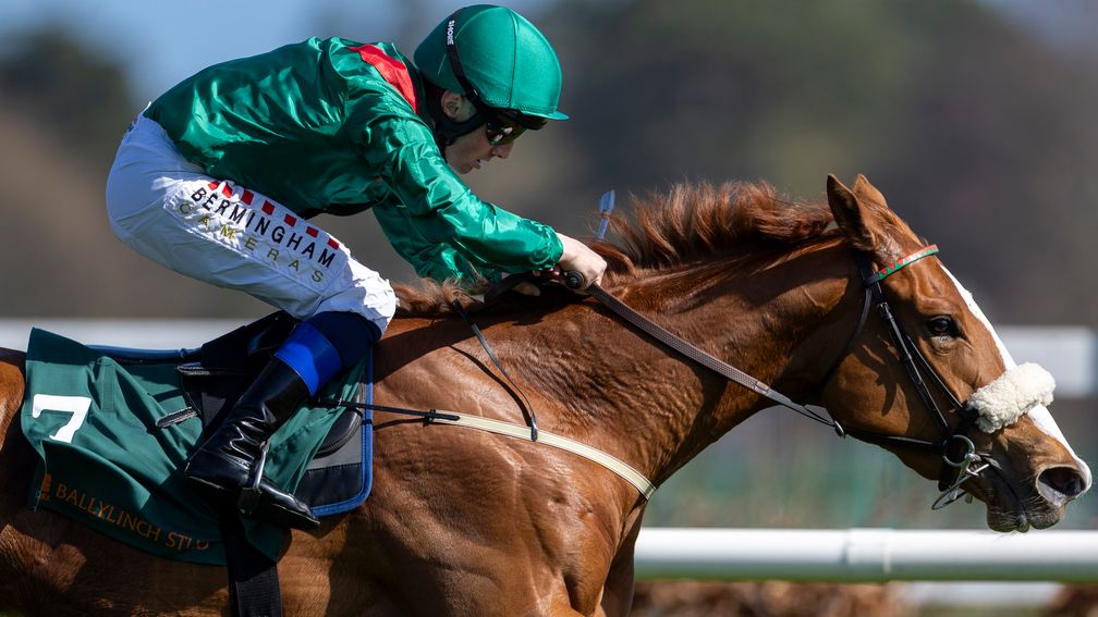 Tarima and Chris Hayes winners of the 1m fillies maiden at Leopardstown.