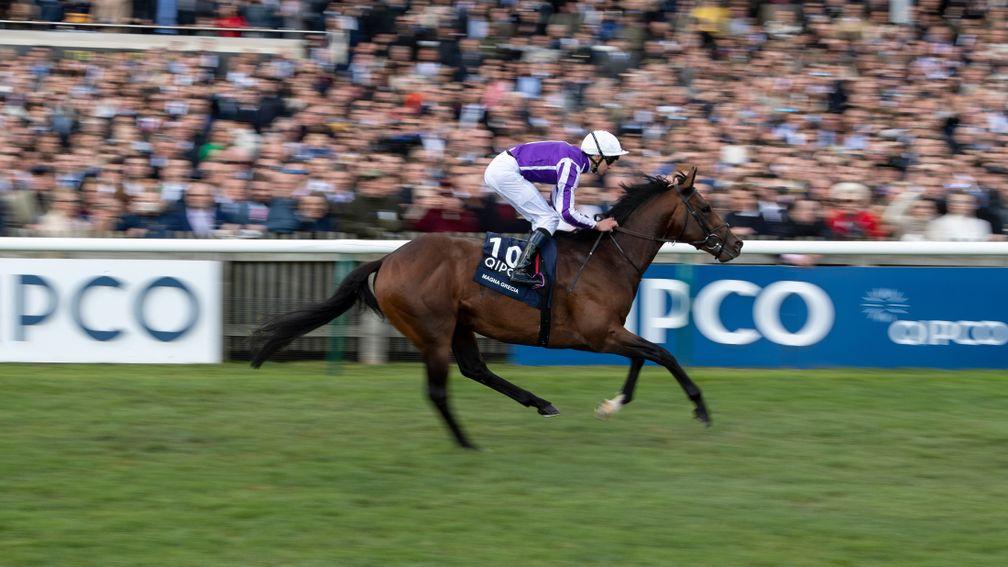 2,000 Guineas winner Magna Grecia will be part of Coolmore's operation in Australia this year.