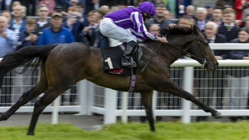 Blackbeard: could star in the Middle Park Stakes on Saturday at Newmarket