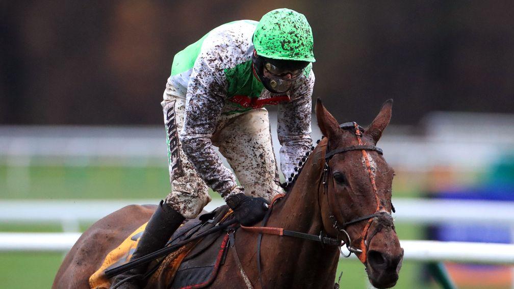 Perfect Candidate: won on Haydock's Betfair Chase card last weekend at the age of 13