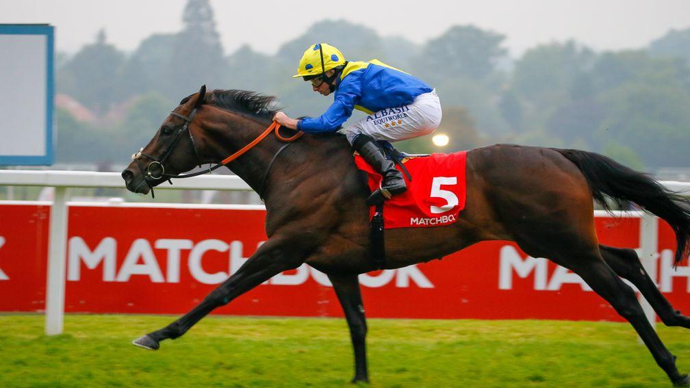 Prince of Wales's Stakes candidate Poet's Word wins the Matchbook Brigadier Gerard Stakes at Sandown