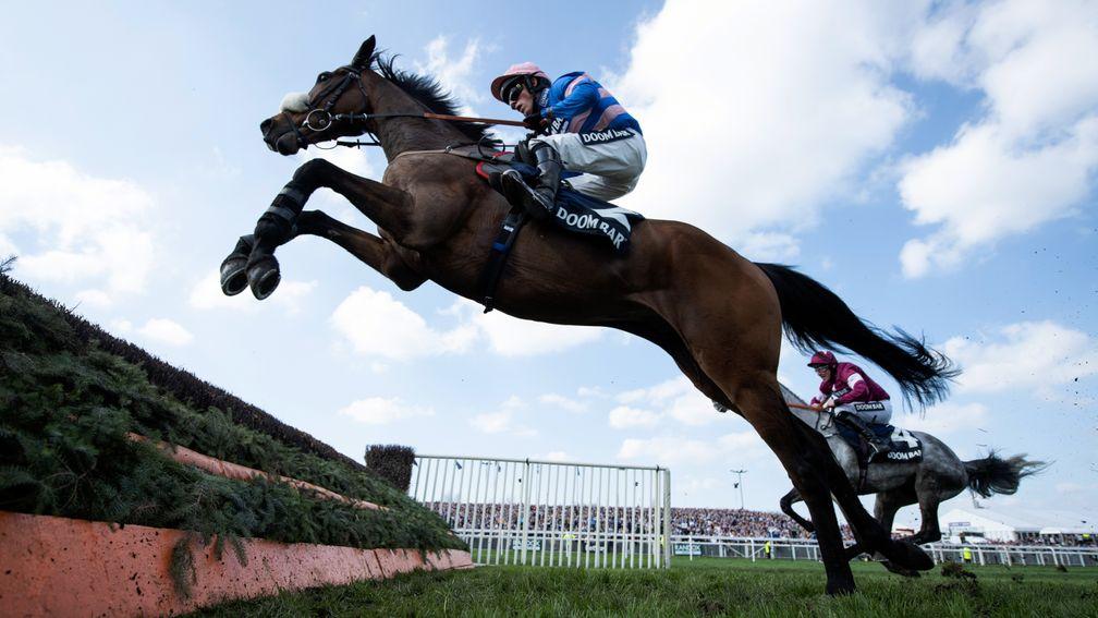Seeing a stride: Diego Du Charmil lets fly in last year's Maghull Novices' Chase
