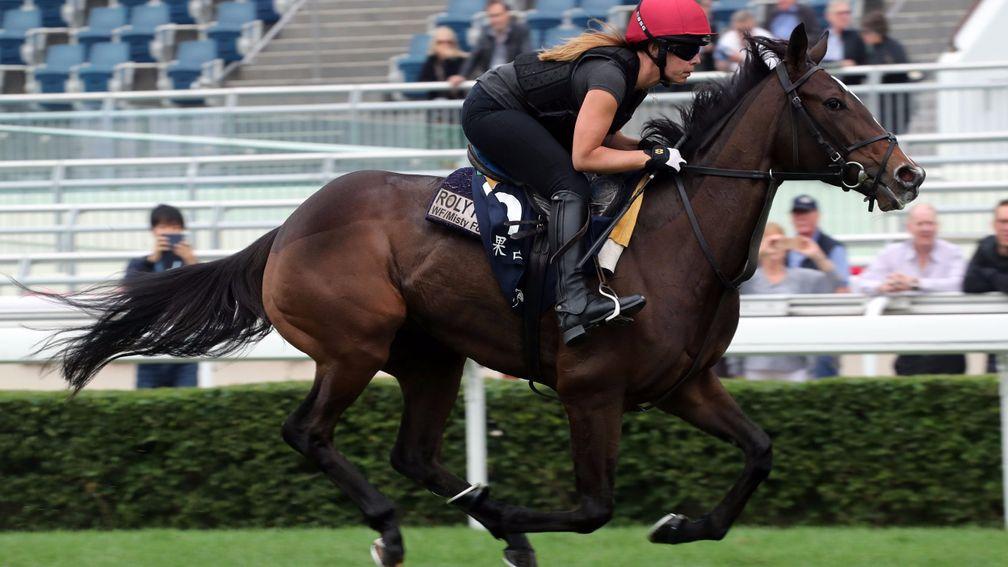Roly Poly exercises at Sha Tin on Thursday