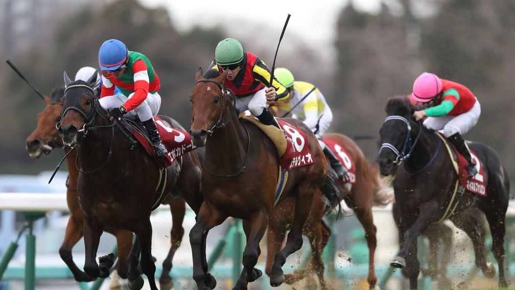 Stelvio (Christophe Lemaire, green cap) claims Epoca D'Oro to win the Spring Stakes