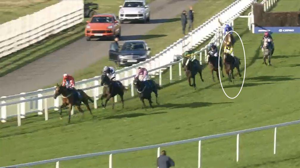 Amoola Gold (highlighted): had close to ten lengths to make up on the turn in at Ascot