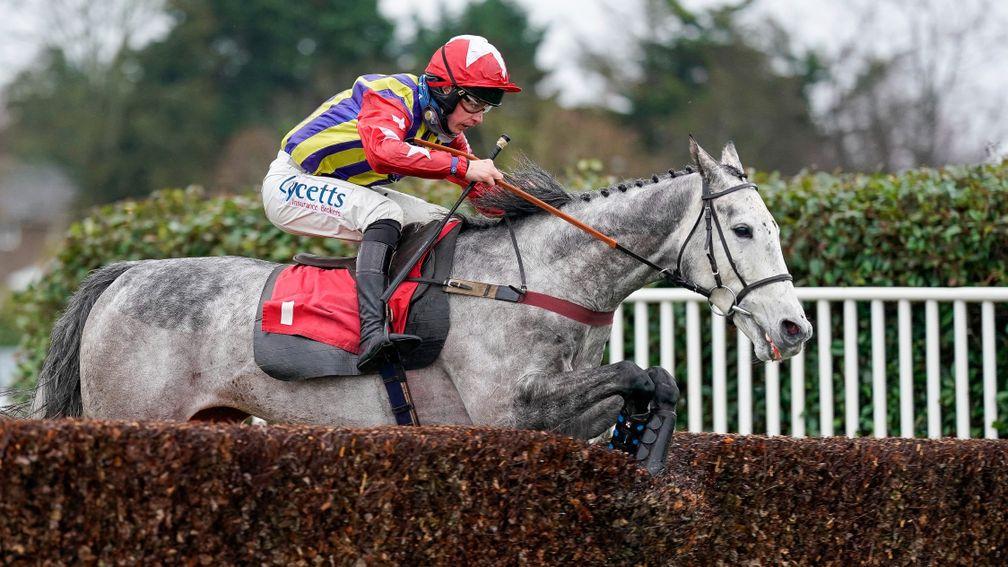 Farinet: could be one of two in the Swinley Handicap Chase for Venetia Williams