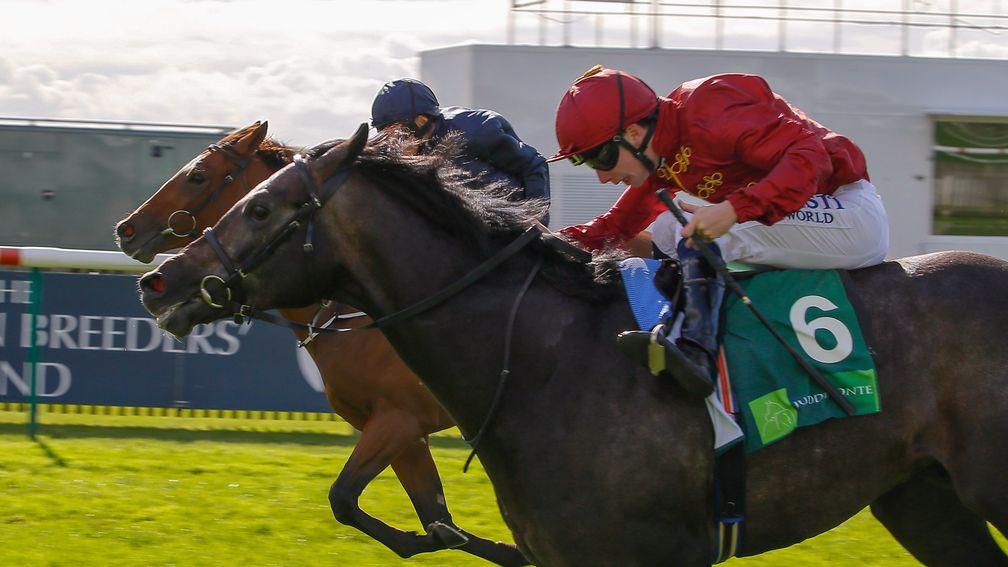 Roaring Lion (nearside): gets back up to deny Nelson after hanging